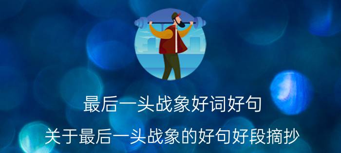 最后一头战象好词好句 关于最后一头战象的好句好段摘抄